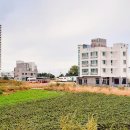 하평농장 이미지