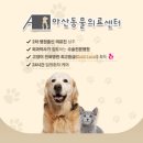 월천동물병원