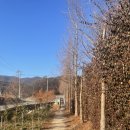 삼백로 | [용인 곤충테마파크]용인 아이와 가기좋은 실내체험 다녀온 후기 주말 가족나들이 추천