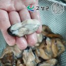 고성냉동수산