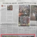 드림광고기획 이미지