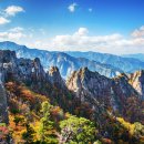 2018.11.16 1)Fewer Koreans Hold Marriage Sacred 2)Korea's best 5 fall foliage sites 이미지