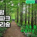 쉬자파크 이미지