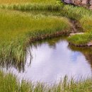 종로동물병원 이미지