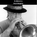 콘수엘로
