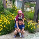 서산대사 옛길 Daum카페