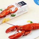 바다를품은해적선 이미지