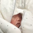 로열프린세스산후조리원 | [제주/제주시] 서해산부인과 연계 산후조리원, 로열 프린세스 산후조리원 로즈메리 실버룸 (숲 뷰...