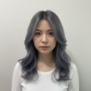 루즈헤어살롱 | 범계미용실 블루그레이 헤어 염색 추천 | 쿨톤 컬러 시술 후기 [도하우스헤어살롱]
