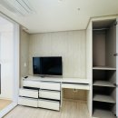 에코세잔 이미지