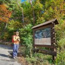 가천공단로 이미지