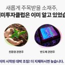 동학개미티브이 이미지