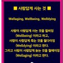 스카이골프 이미지