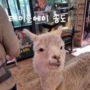 22개월 아기랑 실내 동물원 테이블에이 송도점 방문후기