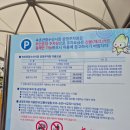 김밥파는사람들(신천중앙점) | 속초 여행 속초 중앙 재래 시장 주차 맛집 리스트 막걸리술빵 후기