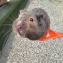 품속농장 이미지