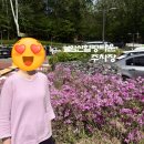 불암산 | 지금 꼭 가야 하는 서울 봄꽃 명소 | '2026 불암산 철쭉제' 후기(주말 주차 및 스탬프 투어 정보)