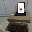 시가크루 광명점