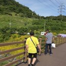 평림댐 화장실 | [나들이 일지] 250529 : 향기로운 하루, 장성 평림댐 장미공원 산책기