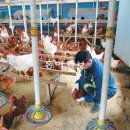 나봉주농장 이미지