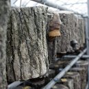 만복농장 이미지