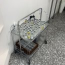 방죽안오거리2 | 천안 신부동 퍼스너컬러진단 [유어컬러]