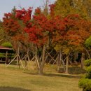 창원대로 이미지