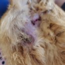 다나은동물병원 이미지