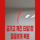 아델리움＆로제비앙아파트경로당 | 광주 금호동 아델리움로제비앙아파트 거실화장실 타일 들떠서 금가고 깨짐 수리 교체