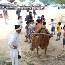 &#34;흥이 넘치는 증평 장뜰 들노래 축제장과 아름다운 괴산 산막이 옛길 트렉킹 투어에 모두 모두 오셔서 멋진 사진 찍어요!&#34; 이미지