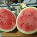 (주) 인넷