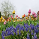 자작나무 조형물 이미지