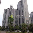 장덕로 이미지