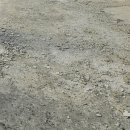 아리랑사 이미지