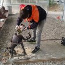 임실튀밥 이미지