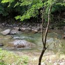 명개리(간이) 이미지