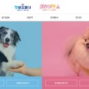 주식회사 코리아펫 이미지