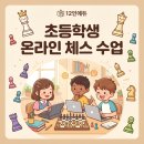 초등 온라인 체스 수업, 12인에듀 가격 교재