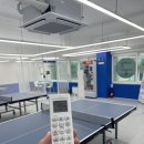 팡팡탁구