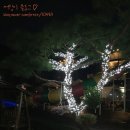 봉림흑염소 | [가평펜션]가평 가보자펜션 가평수영장펜션