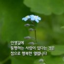 7월19일 수요일 ㅡ이또한 지나 가리니ㅡ 이미지