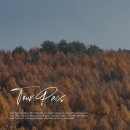 내린천로 | 강원도 인제 가볼만한곳 투어패스 여행 후기