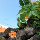 함지박 반점 이미지