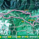 죽령 목장 이미지