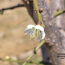 청천농산 이미지