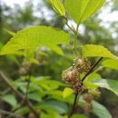 북촌초등학교 이미지
