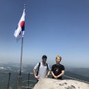 산천청과