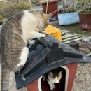 산전카센타 이미지