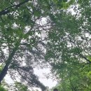 상진농장 티스토리