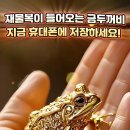 금두꺼비 이미지